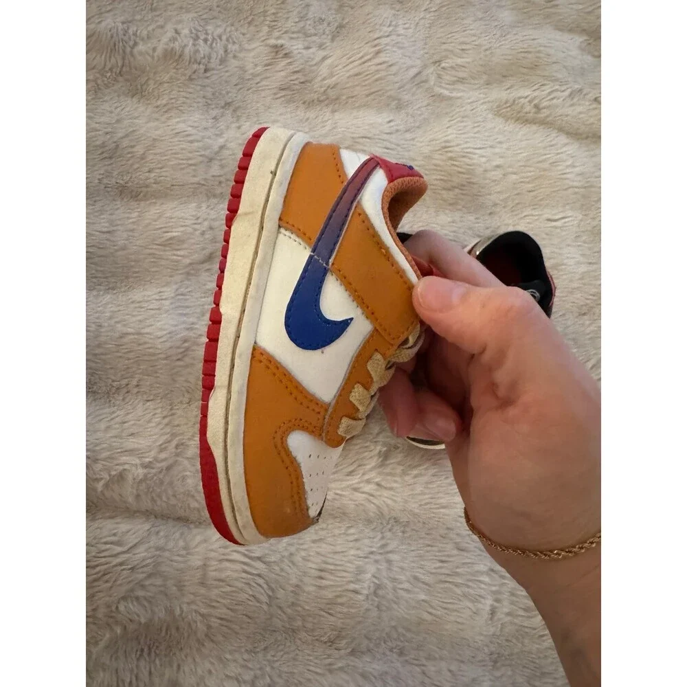 Nike Dunks 6C